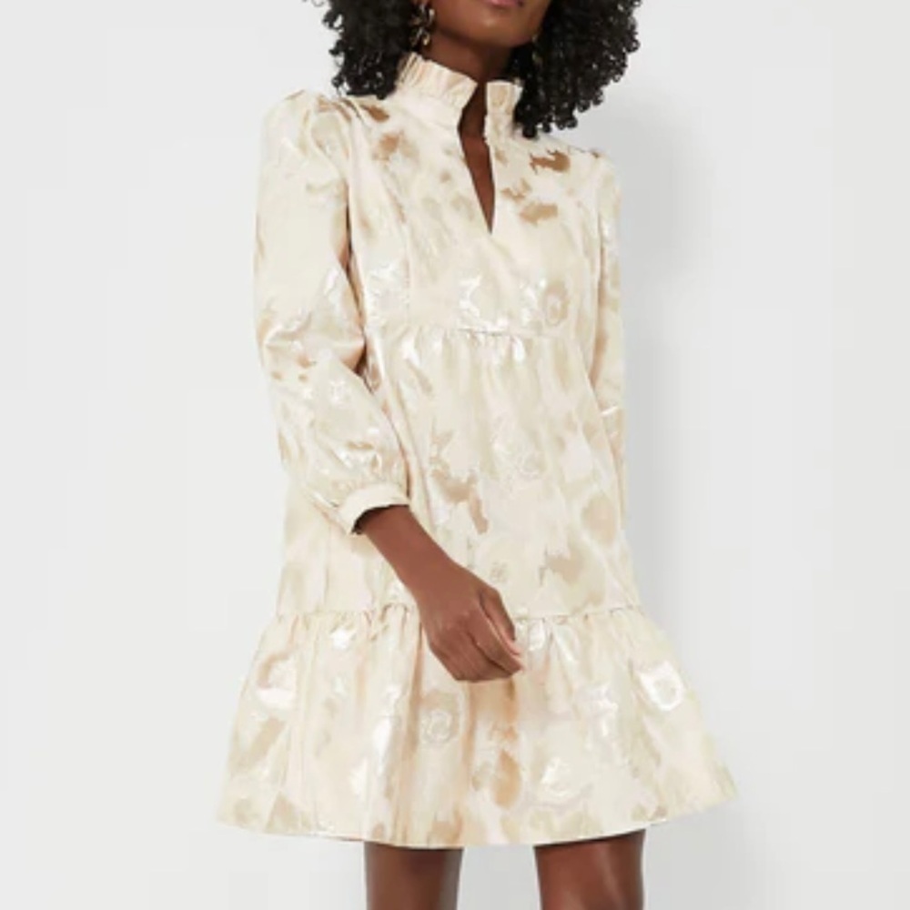 NEW Tuckernuck Palmerston Mini Dress Women’s XXS Champagne/Gold Party Cocktail